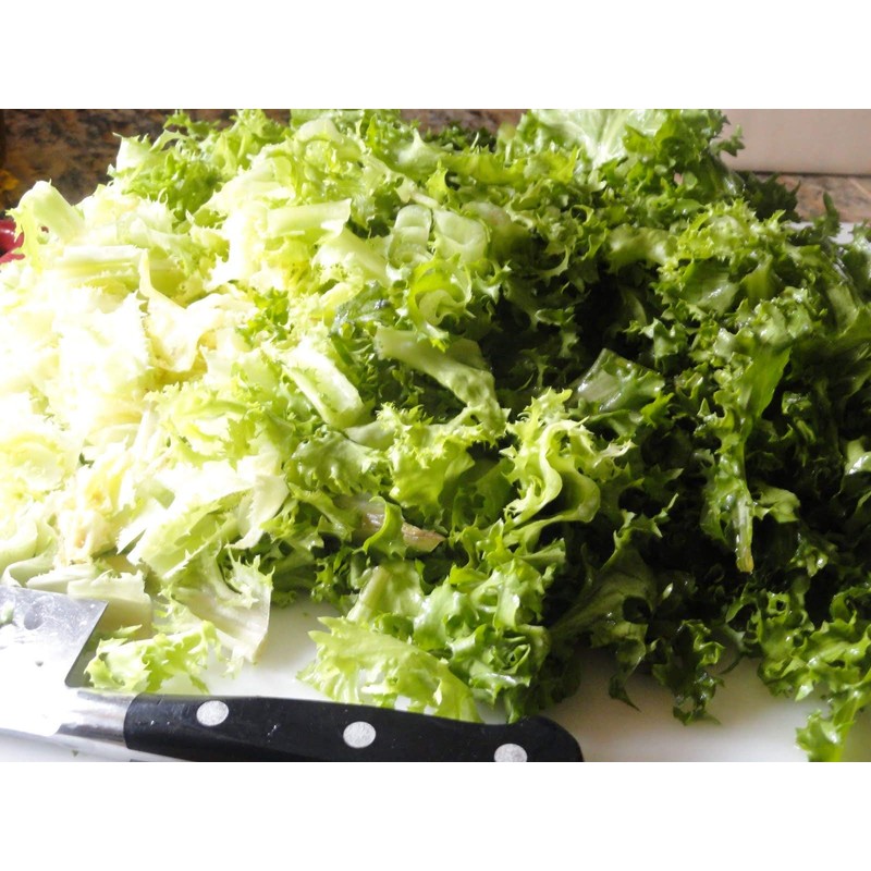 RAISE ME UP: Seeds Endive Curly Frisee Lettuce Non GMO