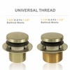 Tip Toe Bathtub Tub Drain Conversion Kit Assembly, Wellup Tub