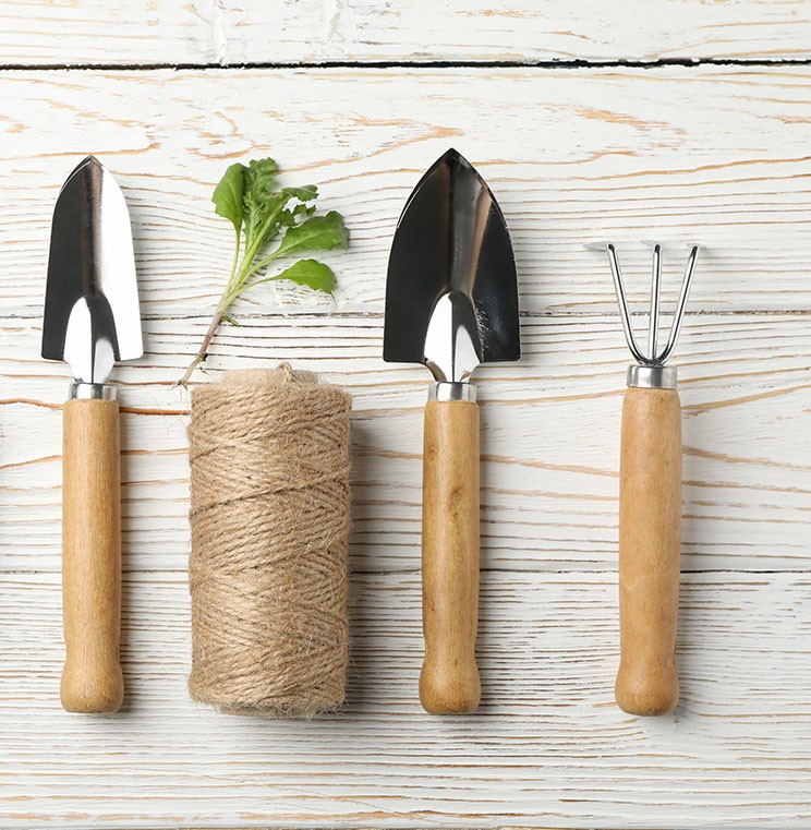 Patio, Lawn & Garden