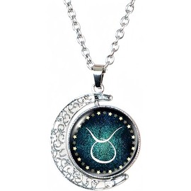DEQIYIJI Birthday Gifts For Women Men Zodiac Sign Moon Pendant Necklace Jewelry Astrology 12 Constellation Horoscope Stuff Taurus