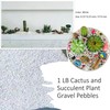 1LB White Natural Gravel Pebbles, Cactus and Succulent Plants Pebbles,