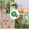 xiaoxiaozhijia 100 m Plant Ties Soft, Reusable Binding Wire with