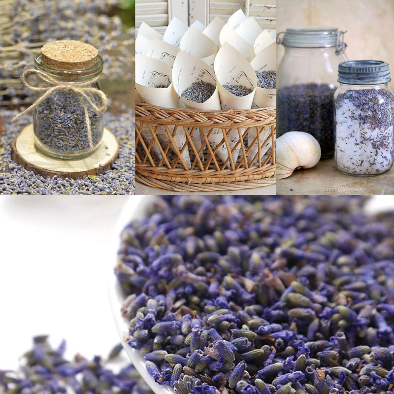 CoolCrafts Dried Lavender Flowers, Dry Lavender Buds Bulk Wholesale Fragrant