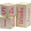 Portrait Prop Age Blocks - Pink - 2 Number Blocks