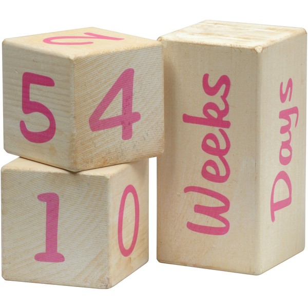 Portrait Prop Age Blocks - Pink - 2 Number Blocks
