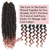 Alrence Passion Twist Crochet Hair 8 Packs Pre twisted Passion