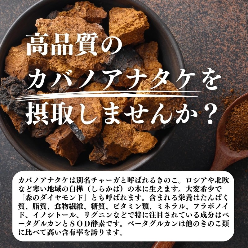 Shizen Health Company Cabano Anatake Tea 32 Pack Chaga Tea