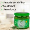 Gel Fijador Natural Romero Sábila