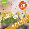 Stickers4 - Spring Window Stickers for Glass - Daffodill and