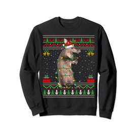 Aardvark Animal Lover Matching Ugly Aardvark Christmas Sweatshirt