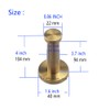 NELXULAS Golden Brushed Stainless Steel Single Heavy Duty Wall Mount