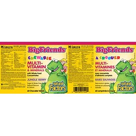 Natural Factors Big Friends - Bayas masticables multivitaminas y minerales de la selva, 60 unidades