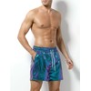 Arjen Kroos Men's Metallic Shiny Shorts Sexy Sparkly Rave Hot