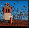 Ankuce Cone Top Chimney Cap 8 Inch, RoundChimney Cover Cap