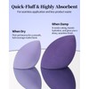 EIGSHOW Makeup Sponge Set, 4Pcs Soft Latex-Free Foundation Blending Sponges