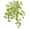 SilksAreForever 24" Silk Pothos Hanging Plant -Light Green (Pack of