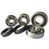 Complete Set Gear Bearings + Shaft Seals