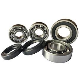 Complete Set Gear Bearings + Shaft Seals