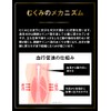 [General Medical Equipment] MediQtto Medical Nudy Beige, Swelling, Elastic Stockings,