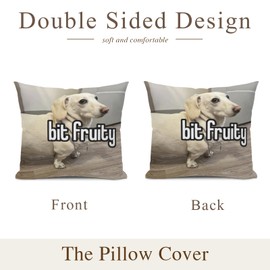 HAPPBIRTH Dog Meme Funny Throw Pillow Case,for Daughter, Son Gifts, Dorm Room Accessories Graduation Party, Decorative Cushion Cover for Sofa Couch Bed 18x18inches