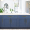Ravinte 10 Inch Cabinet Handles Brushed Brass Drawer Pulls Stainless