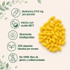 Berberina De 300 Cápsulas Blandas De 500mg *4 Pure Berberine