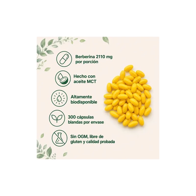 Berberina De 300 Cápsulas Blandas De 500mg *4 Pure Berberine