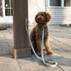 Dog Leash Hitch Parking Hook Heavy Duty Wall-Mount Stainless Steel