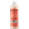SheaMoisture Coconut & Hibiscus Curl & Shine Shampoo | 16
