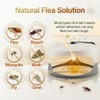 4 Packs Flea Traps for Inside Your Home, Effective Flea
