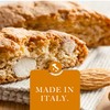 L'Oro Del Sud Traditional Almond Biscotti, Cantuccini d'Abruzzo, Italian Cookies