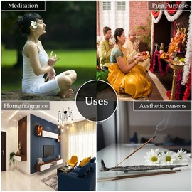 Hem Precious Kewda Incense Sticks (120 Sticks, 6 Boxes Inside) - 9 Inches Long, 20g per Box - Captivating and Uplifting Atmosphere That Soothes The Senses and Encourages A Peaceful State of Mind.