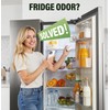 FLAWNT Refrigerator Deodorizer - 10-Year Odor Eliminator for Refrigerator &