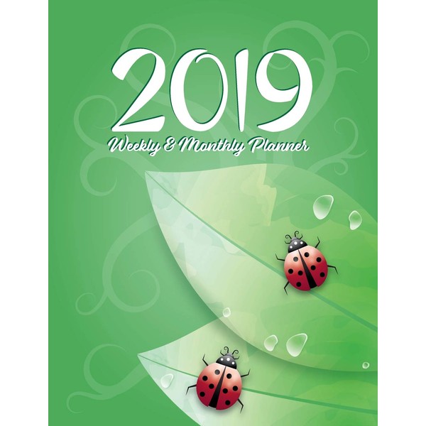 2019 Weekly & Monthly Planner: Lady Bug Tribal Cover Design