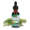 Nature's Answer Extracto De Cola De Caballo 2000mg 30ml Sfn