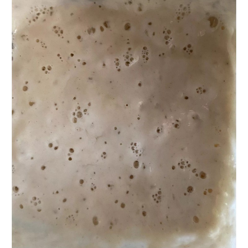 King Sourdough Starter From King Arthur's Organic Flour, Tips &