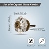 Perilla Home Set of 6 Crystal Knobs for Cabinet &