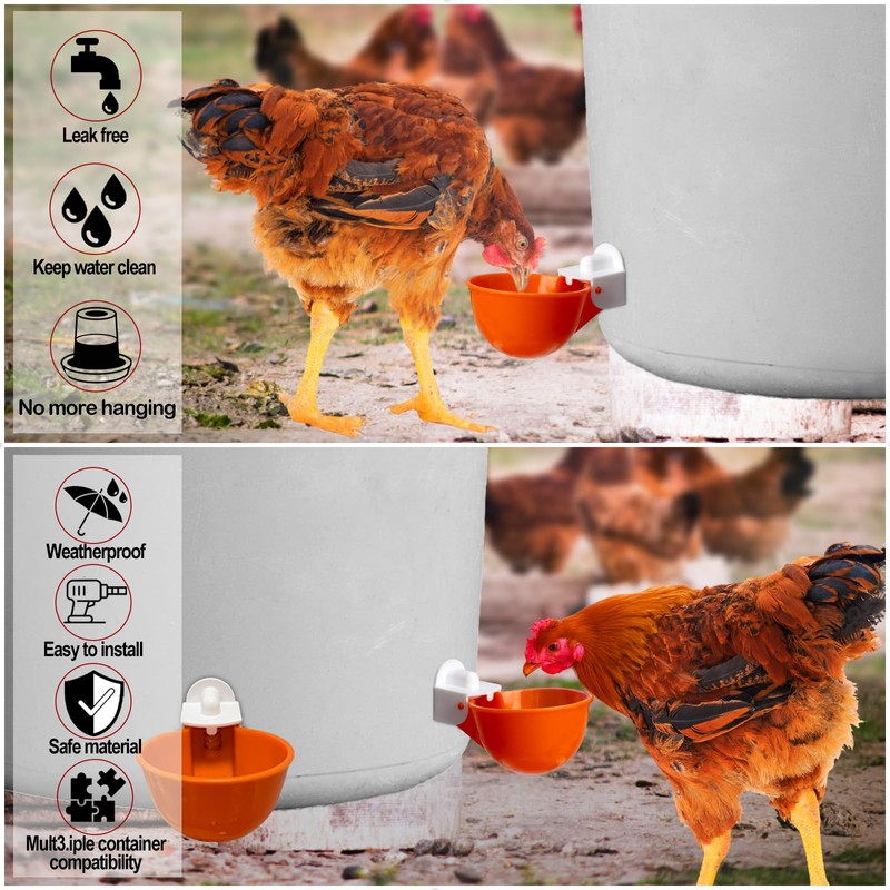 Automatic Chicken Waterer Cups, 6-Pack No Waste Poultry Watering System
