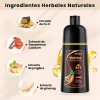 Shampoo Con Tinte Hair Dye Natural Jengibre Para Cubre Canas
