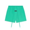 Villeion Styles Essentials SS24 SweatShorts (Medium, Mint Leaf)