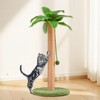Meowoou Cat Scratching Post 33 Inch Tall Cat Scratcher for
