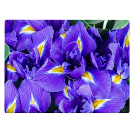Iris Floral Pattern Flower Love Kitchen Glass Cutting Board Decorative Valentine's Mother's Day Gift For Her Flowers (Iris)