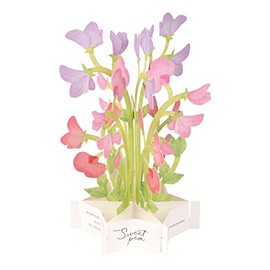GreetingLife KE-37 Blooming Card Sweet Pea