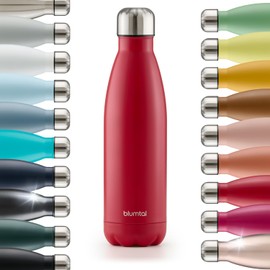 Blumtal® Charles Stainless Steel Drinking Bottle, Thermos Flask, 350 ml, BPA-Free Thermal Drinking Bottle, Cold and Warm, Leak-Proof Metal Drinking Bottle, Thermos Drinking Bottle, Thermal Drinking