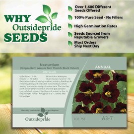 Outsidepride 400 Seeds Annual Nasturtium Mahogany Black Velvet Cimbing Vine Flower Seeds for Planting