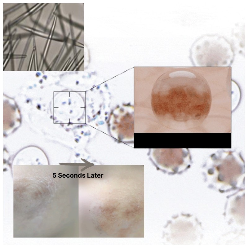 DR.MACANIC Melazero V2 Tranex Cream & Spicule Patch Set 2items