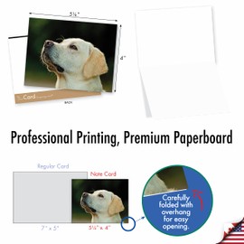 Lovable Labs - 10 Boxed All Occasion Note Cards with Envelopes (4" x 5-1/8") - Labrador Retriever Assorted Blank Greeting Cards - Yellow Lab Dog, Puppy, Animal Notecard Stationery #AM6325OCB-B1x10