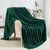 Carriediosa Knit Throw Blanket for Couch 50" X 60", Soft