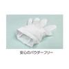 Saito Shoji Nitrile Ultra-Thin Gloves, White (Powder Free), Pack of