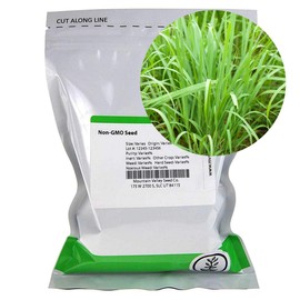 Lemon Grass Seeds - 0.25 Oz - Non-GMO, Heirloom Culinary Herb Garden Seeds - Cymbopogon flexuosus